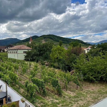 Alsacebnb - Gite 12 Personnes Dans Le Vignoble - Piscine Privee & Spa Ammerschwihr Exterior foto