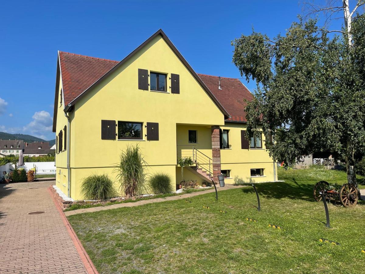Alsacebnb - Gite 12 Personnes Dans Le Vignoble - Piscine Privee & Spa Ammerschwihr Exterior foto