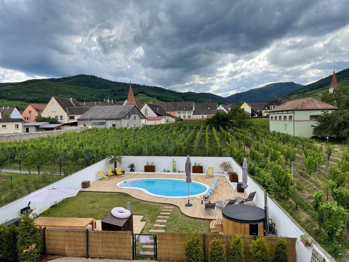 Alsacebnb - Gite 12 Personnes Dans Le Vignoble - Piscine Privee & Spa Ammerschwihr Exterior foto