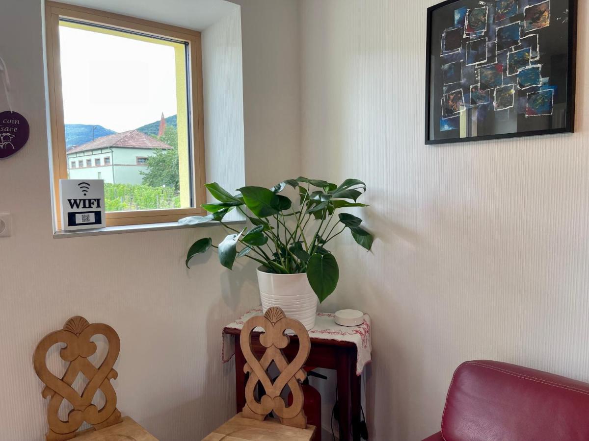 Alsacebnb - Gite 12 Personnes Dans Le Vignoble - Piscine Privee & Spa Ammerschwihr Exterior foto