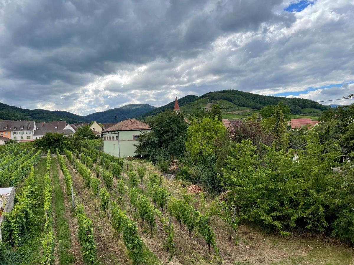 Alsacebnb - Gite 12 Personnes Dans Le Vignoble - Piscine Privee & Spa Ammerschwihr Exterior foto